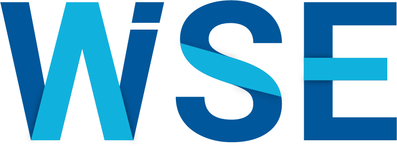 Wise Software Engineering